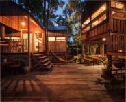 Gia chủ chờ 30 năm để vườn thành rừng rồi mới xây nhà